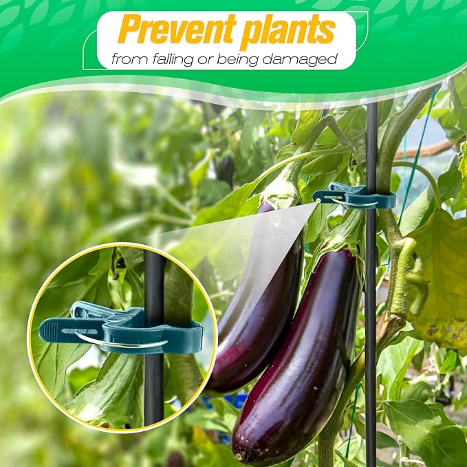 Tomato Plant Support Clips – 60 Pcs Reusable Plastic Garden Clips in 2 Sizes for Upright Growth of Vegetables, Flowers & Vines