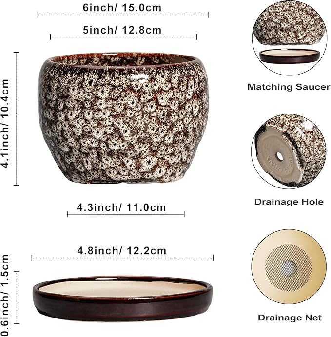 SQOWL Ceramic Plant Pots - 6 Inch Ceramic Planter for Indoor Outdoor, Small Flower Pots with Drainage Hole and Saucer, Decorative Round Planter, Home Office Decor, Plant Lover Gifts, White