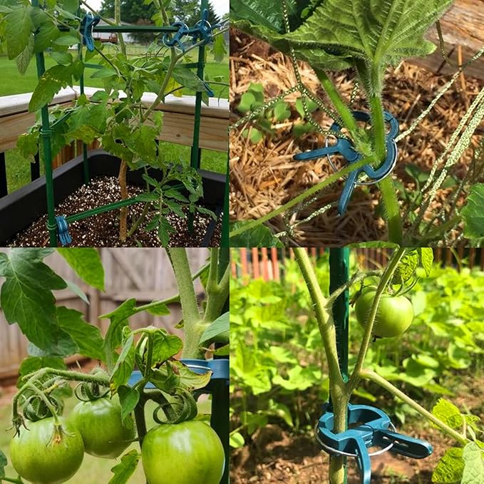 40 Pcs Plant Support Clips,Flower and Vine,Garden Tomato Plant Support Clips for Supporting Stems,Vines Grow Upright Climbing,Tool for Straightening,Tomato Cage,Trellis. 2 Sizes in one Pack