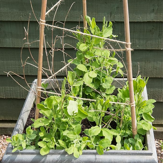 35Pcs Plant Stakes,Premium Natural Bamboo Garden Stakes,Bamboo Sticks Support for Indoor and Outdoor Plants,Tomato,Vegetables Beans,Potted and Climbing Plants