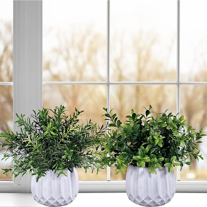 Winlyn 3 Pcs Faux Potted Plants Set - Artificial Eucalyptus, Rosemary, Boxwood Greenery in Small White Geometric Planters for Indoor Outdoor Desk Table Centerpiece Shelf Windowsill Home Office Decor