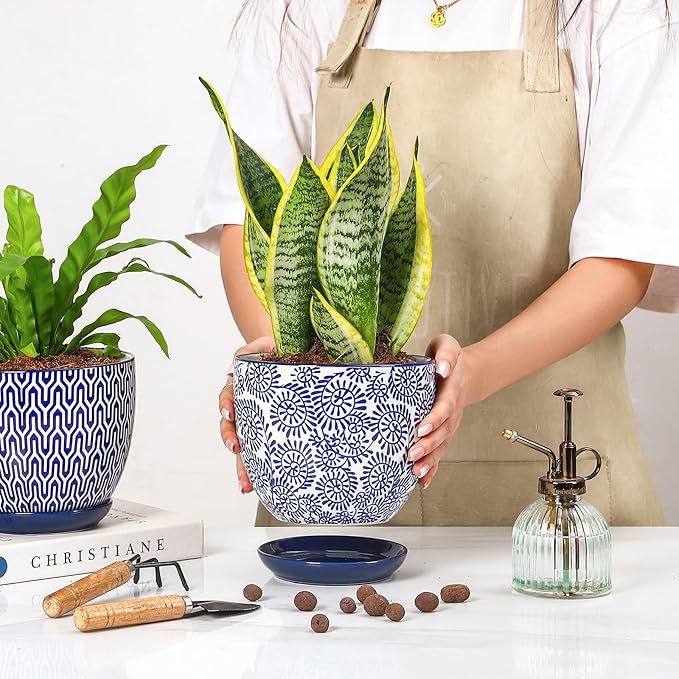 Selamica Ceramica Plant Pots, 6.5 Inch Flower Pots Set of 2 with Drainage Holes & Saucer, Planters for Indoor Plants, Home Decor, Vintage Blue
