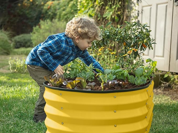 Plant & Plot Galvanized Raised Garden Beds Outdoor // 4×2×1 ft (2-Pack) Planter Raised Beds for Gardening, Vegetables, Flowers (Yellow) // Large Metal Garden Box