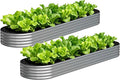 2PCS 12x2x1FT Galvanized Raised Garden Bed Kit,Vegetable Boxes-Oval Metal Flower Box,Large Planter Raised Beds Outdoor Garden for Planting,Fruit,Herb-Silver