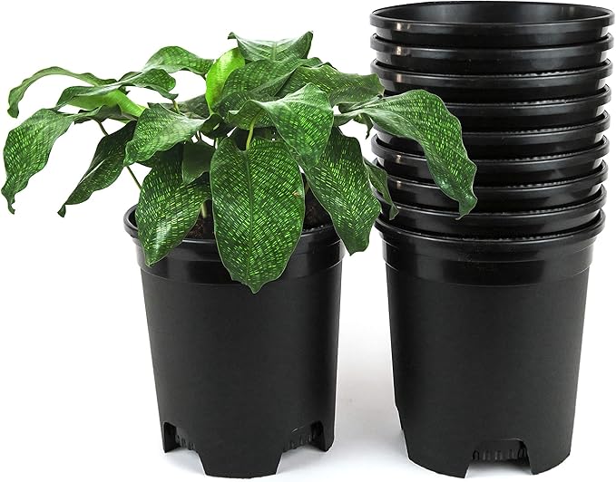 1 Gallon Nursery Pot Plastic Planters for Outdoor Indoor Plants Gardening Flower Pots 10-Pack 6 Inch Plant Pots with Drainage Holes