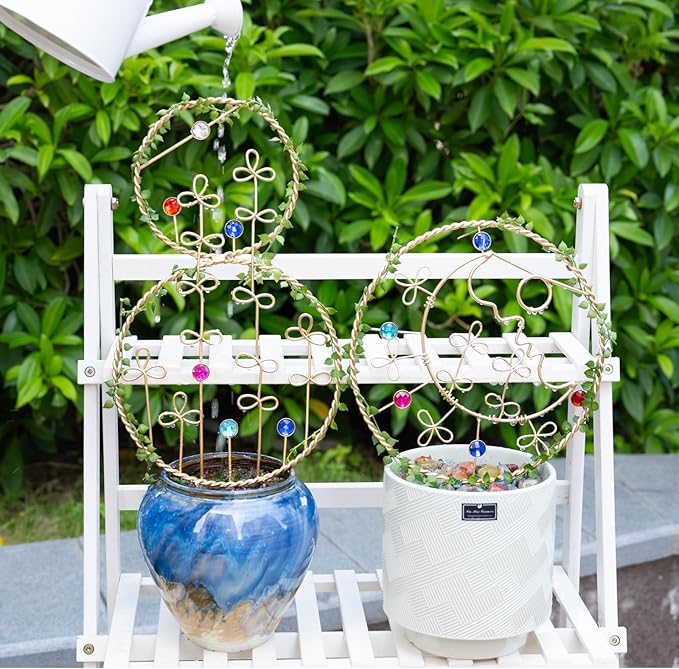2PCS Hoya Trellis Plant Support Indoor Metal Frame Unique Trellis for Climbing Plants Potted Hoya Pots Small Houseplant Vine Support for Plant Lovers Home Decor