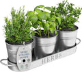 Barnyard Designs Indoor Herb Garden Planter Set with Tray, Metal Windowsill Plant Pots with Drainage for Outdoor or Indoor Plants, Set/3 (Galvanized)