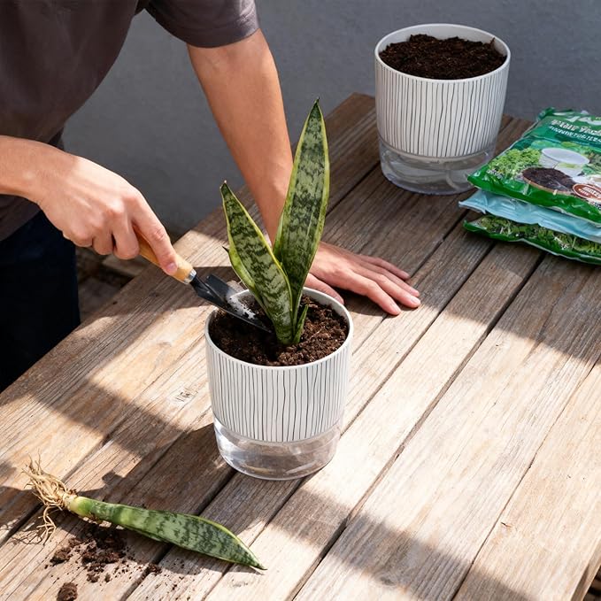 3 Pack Self Watering Pots Set, 4 Inch Self Watering Pots for Indoor Plants, Planter Pot with Wick Rope and Reservoir for African Violet, Spider Plant, Orchid