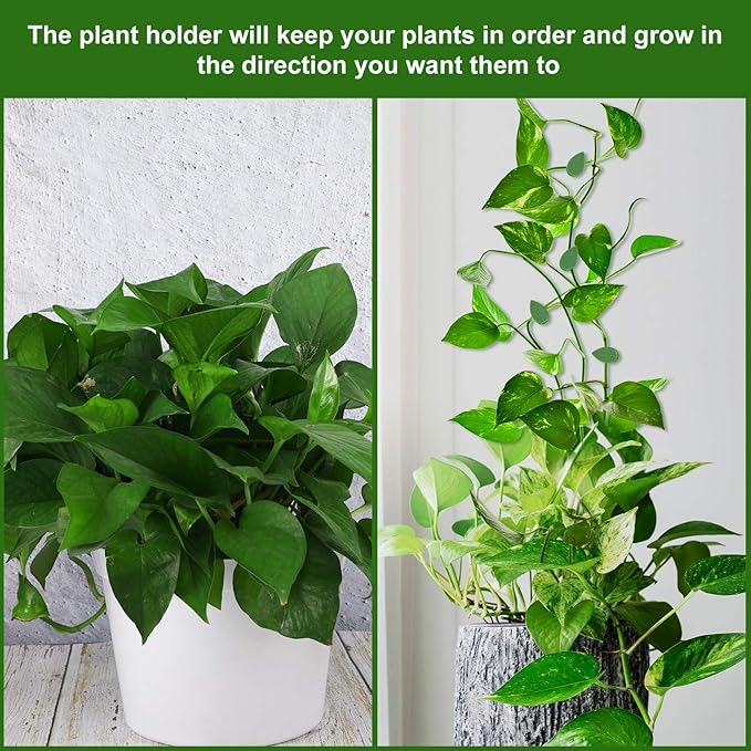 Geiserailie 60 Pieces Plant Climbing Wall Fixture Clips with 72 Pieces Acrylic Adhesive Sticker Leaf Fixer Invisible Wall Vines Fixing Clips Hook Plant Vine Traction for Indoor Outdoor Decoration