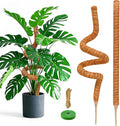 2 Pack 60 Inch Moss Pole Monstera Plant Support, Coir Moss Poles for Climbing Indoor Plants, Bendable Plant Stake Trellis for Potted Plant, Pothos, Philodendron