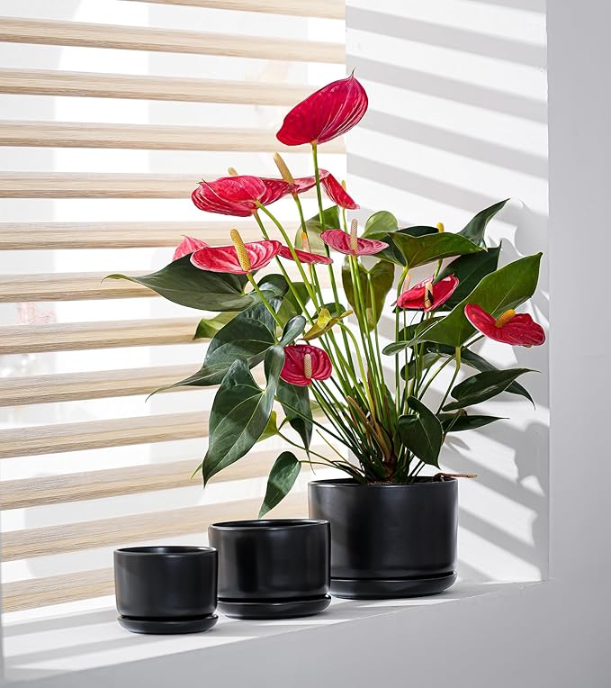 Ton Sin Plant Pots, 4.1+5.1+6.5 inch, Set of 3, Ceramic Planters with Drainage Hole and Saucer, Indoor Flower Pot Gifts for Mom（Matte Black）