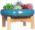 Succulent Pots - Large Succulent Planters Pots with Drainage, 10 Inch Ceramic Bonsai Pot with Stand Round Shallow Planter for Indoor/Outdoor Plants Decorative Garden Cactus Flower Container Bowl