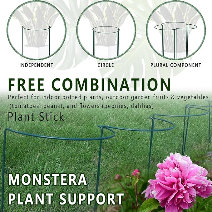 6 Pack Detachable & Assemblable Metal Plant Support Stakes - Garden Support Ring, Tomato Seedling Cage, Young Monstera/Pothos for Growing Indoor/Outdoor (10" W x 16" H)