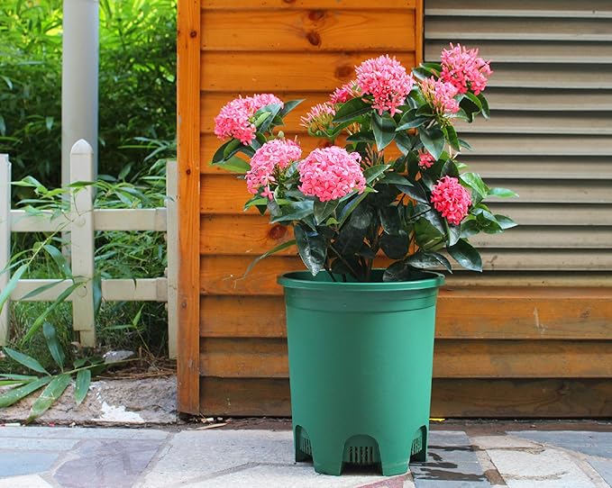 5 Gallon 10-Pack Green Nursery Pot Black Plastic Planters with Drainage for Outdoor Indoor Large Plants Trees