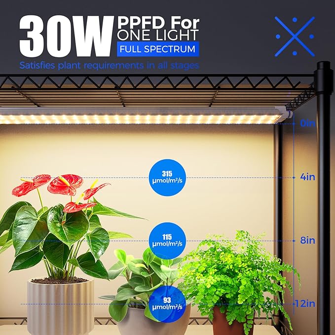 Barrina CX2 Plant Stand with Grow Lights for Indoor Plants, 6-Tier Metal Plant Shelf Display Rack with 2FT 150W Full Spectrum Plant Light, 3 Adjustable Spectrum, Timer, for Growing, 29.5x13.8x71IN