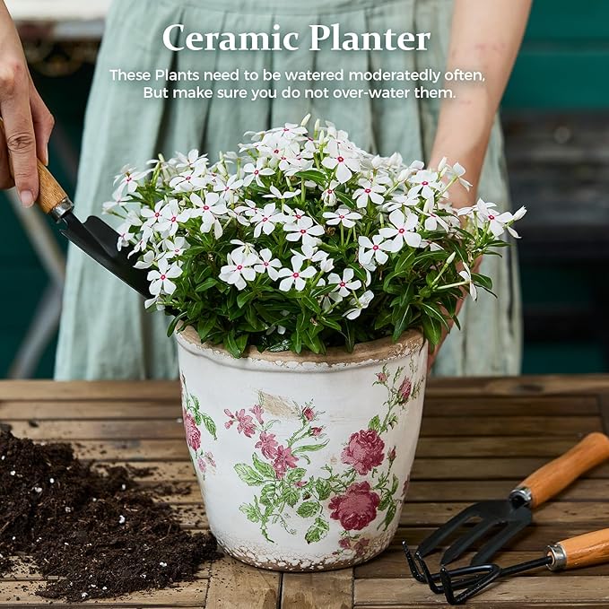 Vintage Ceramic Planter with Drainage Hole, Plastic Tray & Mesh, 6.5 Inch - Indoor/Outdoor Flower Pot, Pink Floral Rustic Farmhouse Design Plant pot for Home, Office & Garden Décor, Ideal Gift