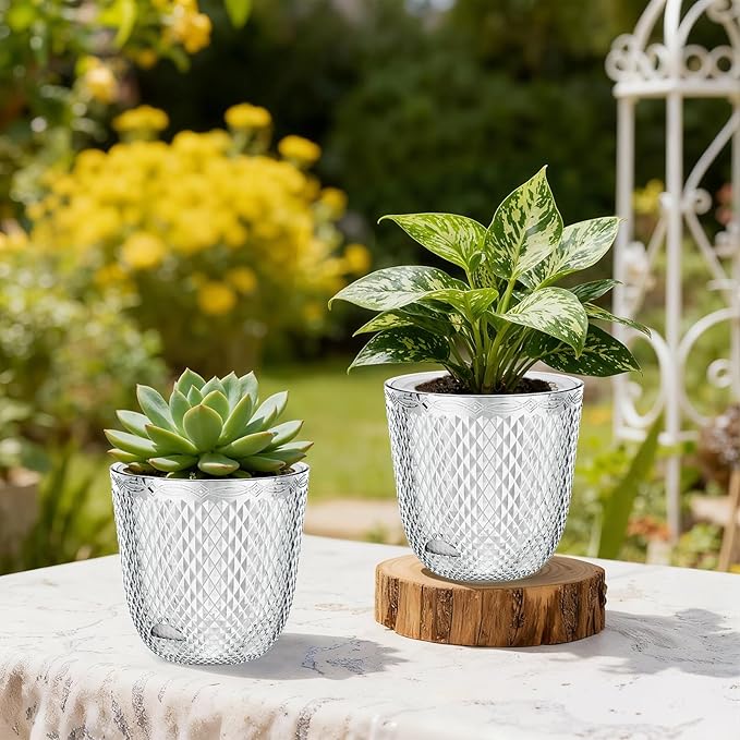 QCQHDU 2 Pack Self Watering Pots, 5.7 Inch Flower Pots with Drainage Holes and Water Filling Port, Garden Planter for Indoor Outdoor Plants (Clear)
