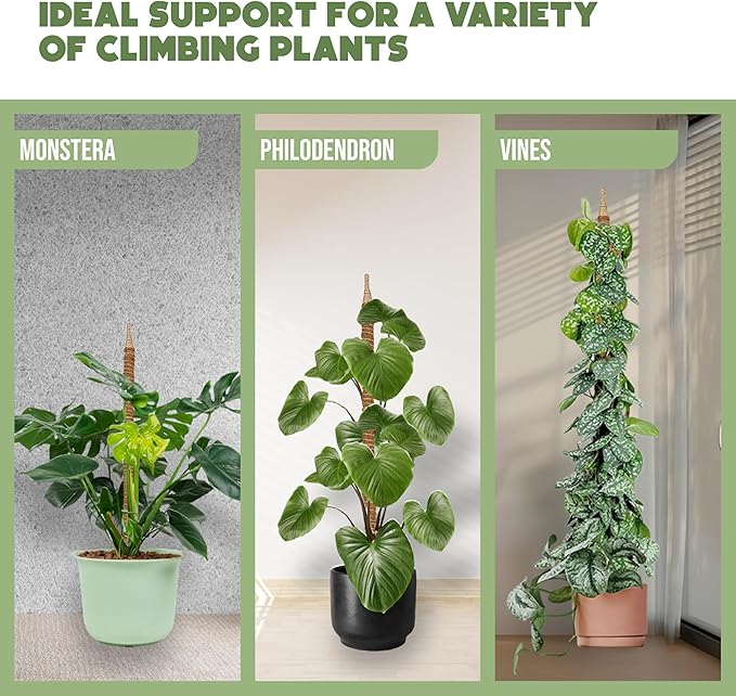 2 Pack 48" and 28'' Bendable Moss Pole Monstera Plant Support for Climbing Indoor Plants - Stakes for Potted Climbers - Tall Sticks Indoor Trellis for Houseplants - Accessories for Monstera Pot