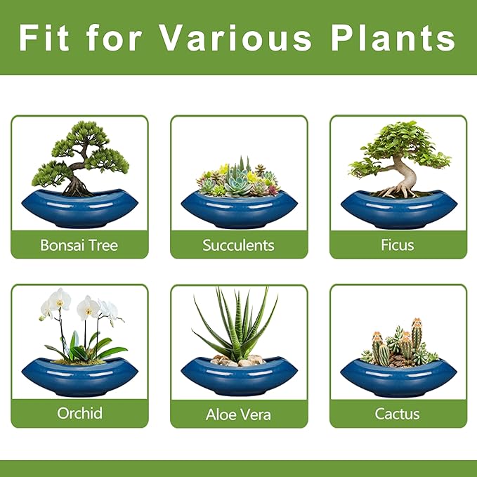 Bonsai Tree Pot 18 Inch - Ceramic Succulent Pots Large Bonsai Planter for Indoor Outdoor Plants Decorative Plant Pot with Drainage Hole Flower Pot for Home Garden Room Decor Blue