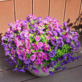 Artificial Flowers for Outdoors, UV Resistant Fake Silk Morning Glory, Realistic Faux Plants for Outside Porch Patio Window Box Hanging Planter (12, Purple Fuchsia)