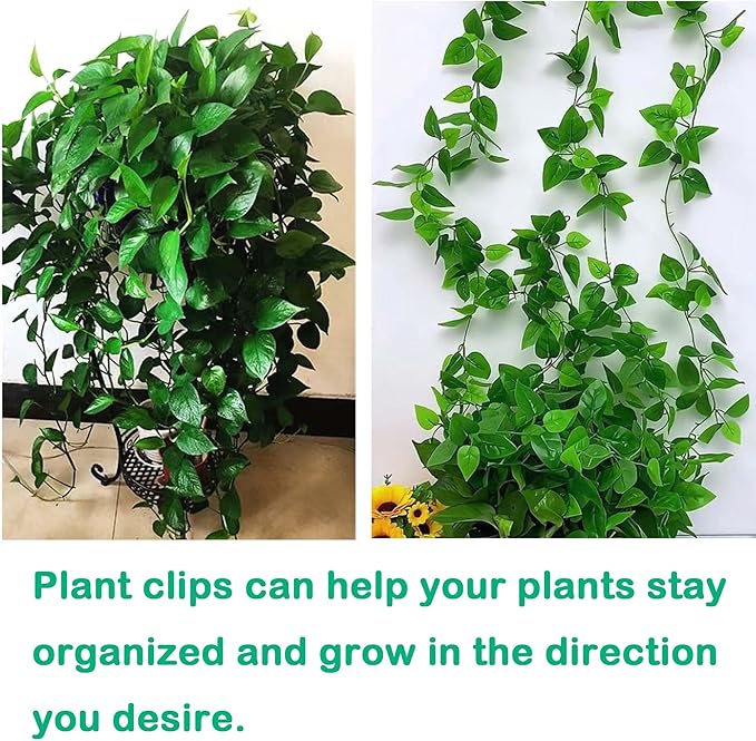 Plant Climbing Wall Fixture Clips, 80Pcs Self-Adhesive Wall Clips Fixer Hooks for Vines, Traction Support Holder, Invisible Leaf Clips for Wall Climbing Plants Indoor Outdoor Decor