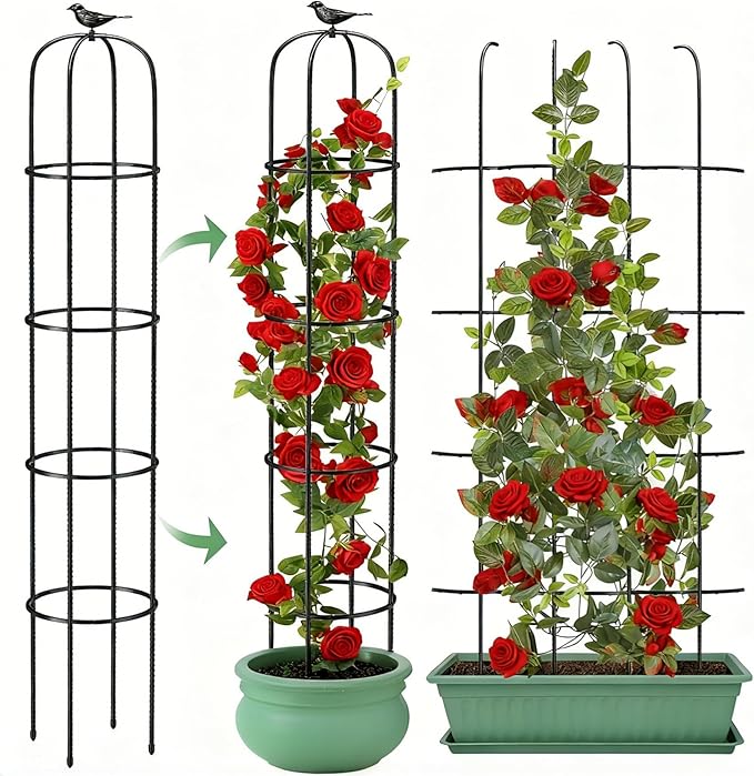 6.2ft Garden Obelisk Trellis for Climbing Plants Rustproof Metal Pipe with Heavy Duty Plastic Coated Garden Outdoor Indoor Potted Plant Support for Clematis Vine Jasmine Support