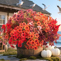 20 Bundles UV Resistant Artificial Fall Flowers - Fake Autumn Plants for Autumn Indoor Outdoor Garden Patio Fireplace Window Box Kitchen Home Decor (Fall Orange Mix)