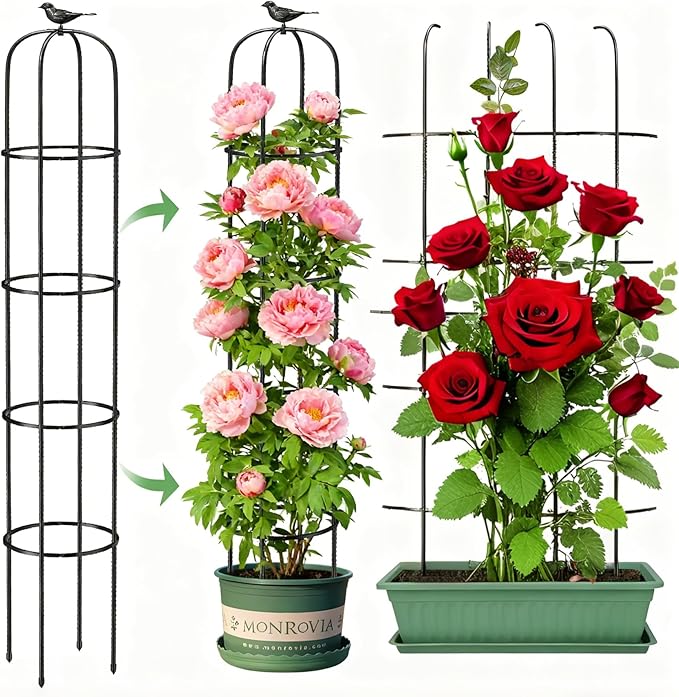 6.2ft Garden Obelisk Trellis for Climbing Plants Rustproof Metal Pipe with Heavy Duty Plastic Coated Garden Outdoor Indoor Potted Plant Support for Clematis Vine Jasmine Support
