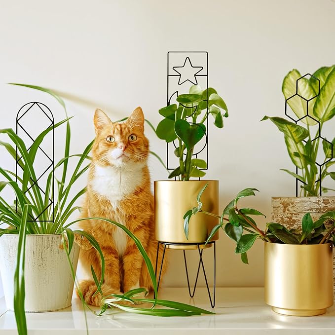Coomin Small Plant Trellis for Potted Plants, 15in Plant Trellis Indoor, Mini Trellis for Climbing Plants for Hoya Pothos with Ties, Black