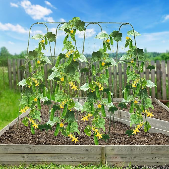 Lalahoni Cucumber Trellis, 65" X 65" Metal Garden Arch Trellis Climbing Plant Outdoor Support for Vine Fruits Flowers Vegetables Peas Beans Squash Cucumber Tomato Raised Bed, with Netting, Lightweight