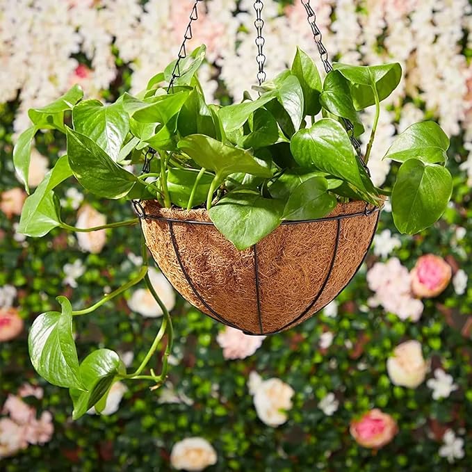 Hanging Baskets Planter for Plants - 2 Pack 12 Inch Metal Baskets with Coco Coir Liner, Hanging Flower Pots for Outside with Chain, Indoor Outdoor Garden Porch Decoration (12'' Pack of 2)