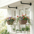 2 Pack Black Metal Pipe Plant Hanger Indoor with Hanging Chains, Industrial Window and Wall Mounted Hanging Rod Planter for Plants, Pots/Plants Not Included