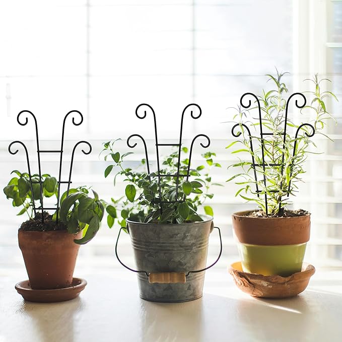 Coomin Small Plant Trellis for Climbing Plants Indoor, 14.5in Metal House Plant Trellis for Potted Plants, Mini Plant Support for Hoya Pothos, Black