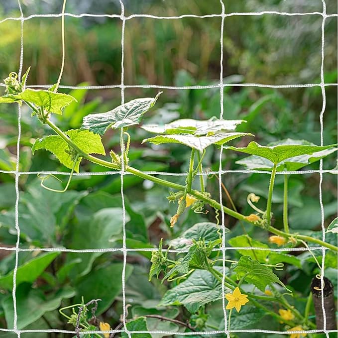 Tcamp Trellis Netting for Plants (5Ft x30Ft, 3.5" Square Mesh Ployester, 2Pack)