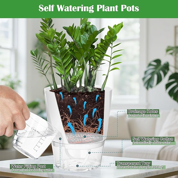 KIMCHOMERSE Self Watering Plant Pots, 6 Inch Plant Pots White, 3 Pack Flowers Pot Indoor Planter Pots with Tray for Spider Plant, Orchid, African Violet
