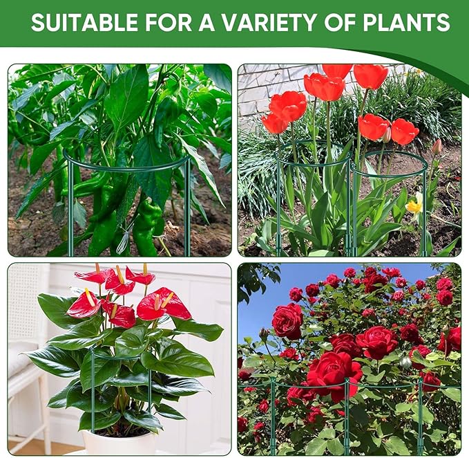 6 Pack 32 or 16 inch Adjustable Plant Support Stakes, Heavy-Duty Half Round Peony Support, Garden Plant Stakes Cage for Outdoor Plants, Peony, Tomato, Hydrangea, (16In Support +16In Extension Tubes)