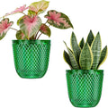 QCQHDU 2 Pack Self Watering Pots, 7.2 Inch Flower Pots with Drainage Holes and Water Filling Port, Garden Planter for Indoor Outdoor Plants (Emerald)