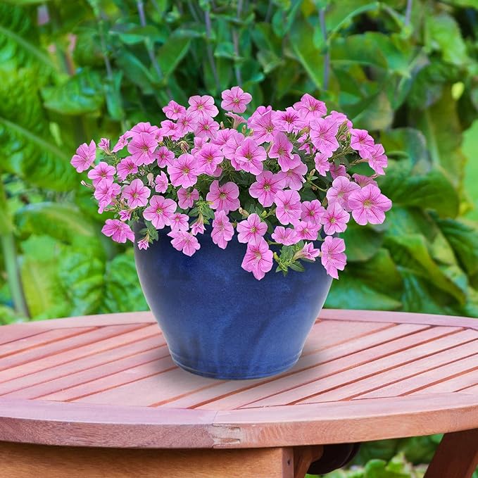 Sunnydaze Large Ceramic Plant Pot - Round Outdoor Glazed Ceramic Planter Pot with Drainage - Studio - Imperial Blue - 18.5"