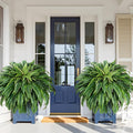 MARTINE MALL 2Pcs 48'' Fake Ferns Look Real Artificial Ferns for Outdoors, 88 Branches Large Faux Boston Fern for Outdoor Planter Realistic UV Resistant Hanging Artificial Fake Plants for Porch Patio