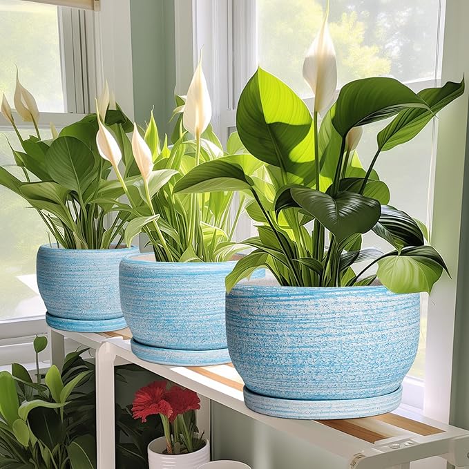 SQOWL Ceramic Planter - 8 inch Pot for Plants Indoor Outdoor, Modern Ceramic Flower Pot with Drainage Hole and Saucer, Decorative Round Planter, Home Office Decor, Plant Lovers Gifts, Blue