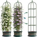 Garden Trellis for Climbing Plants, Tomato Cage, Rose, Flowers, Grape, Pea, Cucumber Trellis, Rustproof Plastic Coated Metal Plant Support for Potted Plants Indoor Outdoor - 2PC Plant Trellis