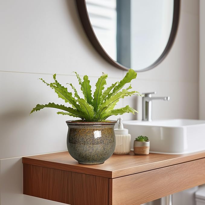 Self Watering Planters for Indoor Plants, 6 Inch Ceramic African Violet Pots with Absorbent Inner Pot, Ceramic Plant Pot, Round Flower Pots, Bathroom Decor, Housewarming Gifts, Yellowish Brown