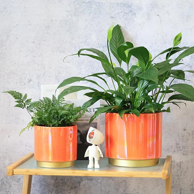 Gepege Peach Indoor Plant Pots for Plants, Ceramic Planter with Drainage Hole, 7.6 Inch +6 Inch 2pcs Succulent Orchid Flower Pot - Rainbow Pearl Glaze