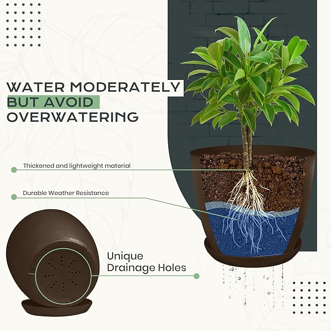 Utopia Home - Plant Pots Indoor with Drainage - 7/6.6/6/5.3/4.8 Inches Home Decor Flower Pots - Pack of 10 Plastic Planters for Indoor Plants, Cactus, Succulents Pot - Brown