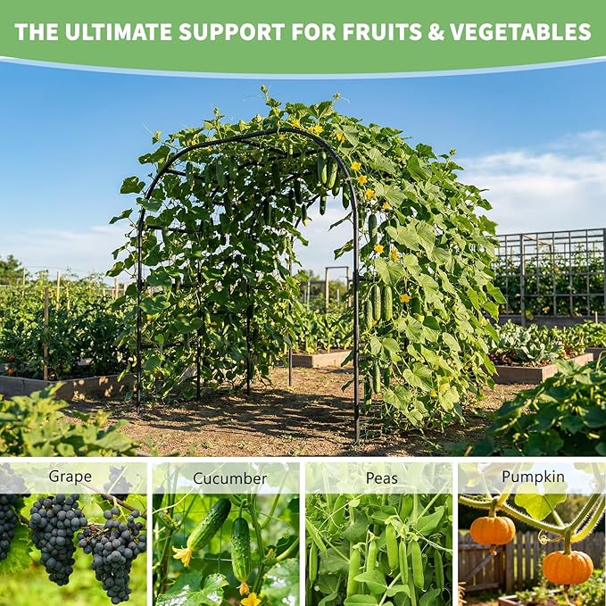 DoCred Garden Arch Trellis for Climbing Plants, 88 Inch Large Garden Trellises Outdoor Metal Plants Support Archway Arbor Tunnel for Vegetables Plant Cucumber Trellis Decoration, Black