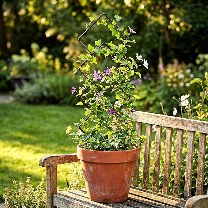 Indoor Trellis for Climbing Plants: 3PC Small Garden Metal Trellis for Vine Ivy Hoya Houseplants Flower Potted Plant Outdoor