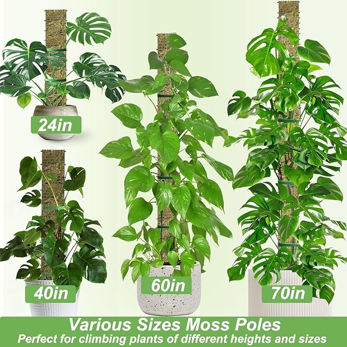 24" Metal Moss Pole, D Shape Sphagnum Moss Pole, Moss Poles for Climbing Plants, Monstera, Indoor Climbing Plants (2Pcs 24")