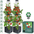 2 Pack Raised Garden Bed Planter Box with Trellis, 58” Tomato Cage Planter Raised Garden Bed with Trellis for Climbing Vegetables Plants Tomato Cage w/Self-Watering, Indoor Outdoor Use