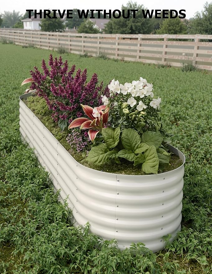 2 Pcs Raised Garden Beds Outdoor 8x2x1.5 ft - Galvanized Steel Planter Box for Vegetables, Flowers, Rust-Resistant Garden Box, Easy Assembly Raised Beds, Durable Planters for Outdoor Plants, Beige
