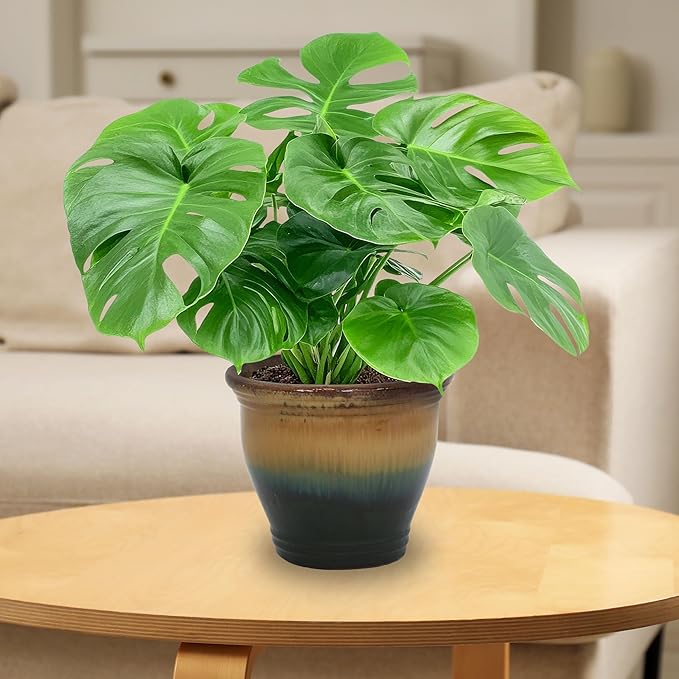 Sunnydaze Round Ceramic Planter - Set of 2 Indoor or Outdoor Plant Pots with Drainage Hole - Studio - 11" - Forest Lake Green Glaze